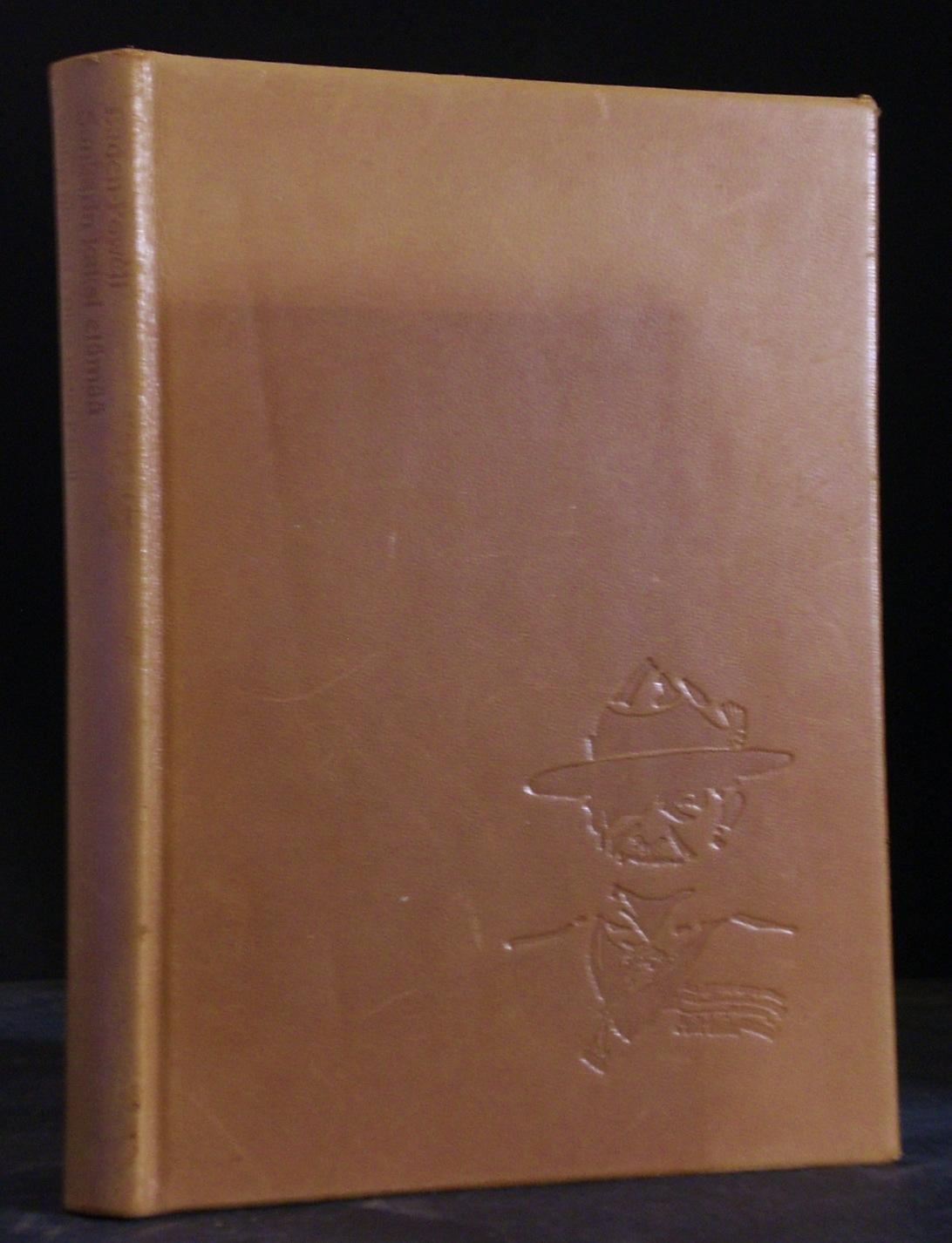 Baden-Powell. Sankarin kaksi elämää. The two lives of a hero