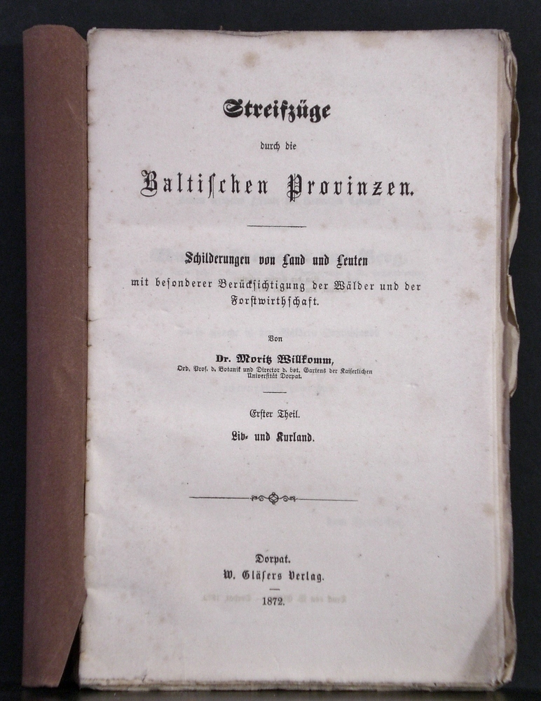 Streifzuge durch die Baltischen Provinzen (1872)