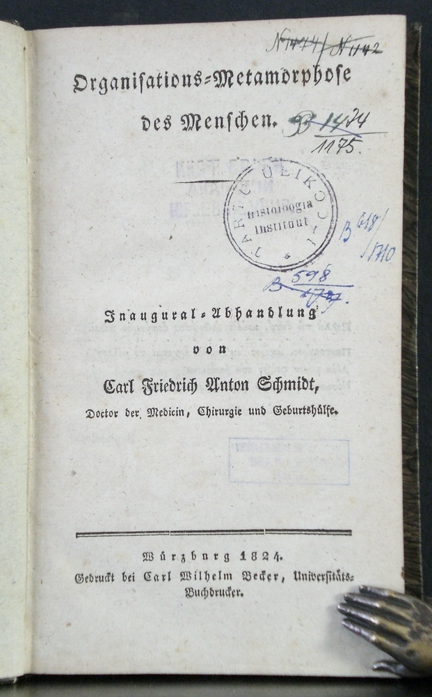 CARL FRIEDRICH ANTON SCHMIDT Organisations-Metamorphose des Menschen (1824)