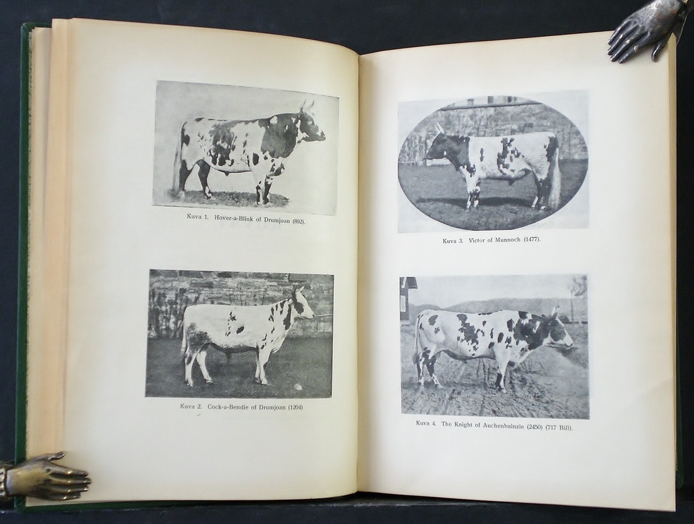 Huugo Niinivaara Suomen Ayshirekarjan sonnisukututkielma (1920)