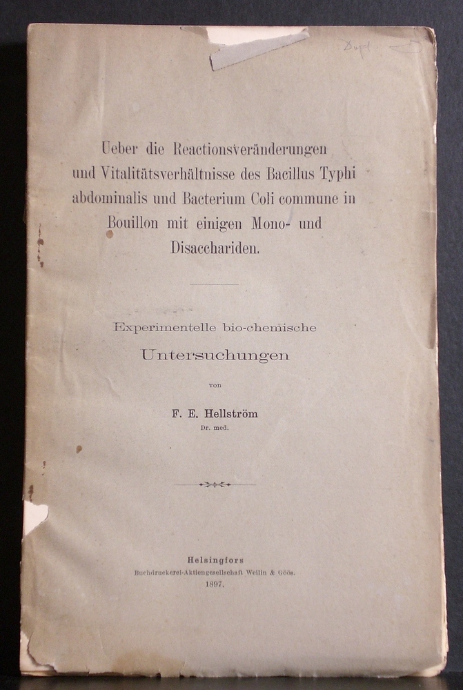 Ueber die Reactionsveränderungen und Vitalitätsverhältnisse des Bacillus Typhi abdominalis und Bacterium Coli commune in Bouillon mit einigen Mono- und Disacchariden (1897)
