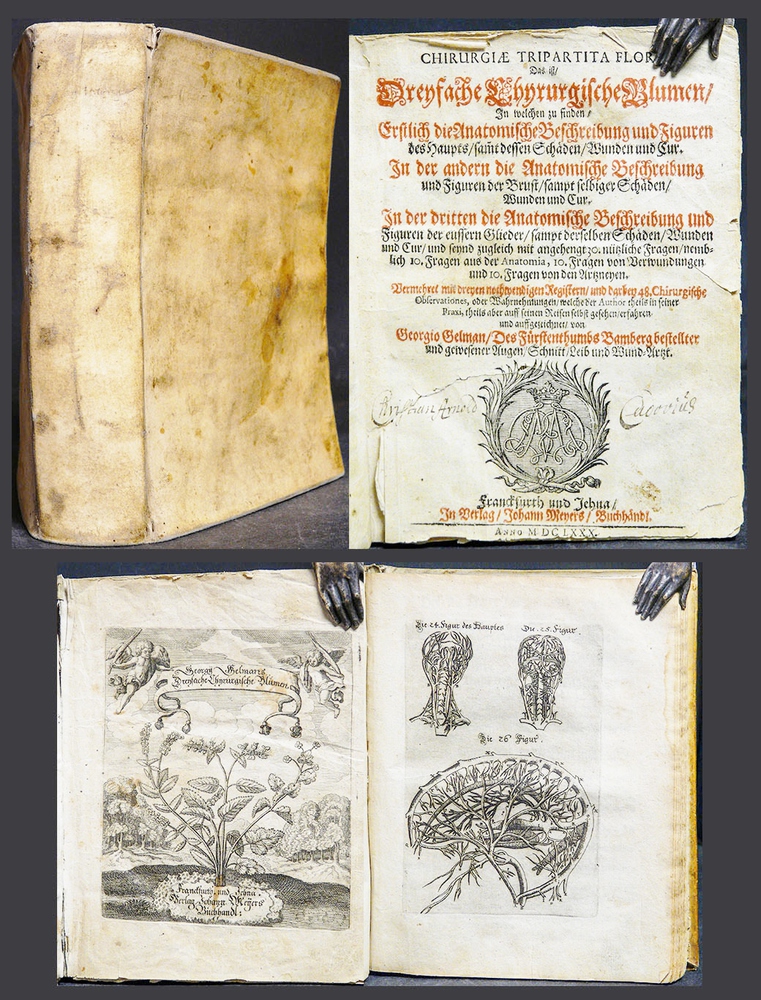 Gregorius Gelman CHIRURGIAE TRIPARTITA FLORA (1680)