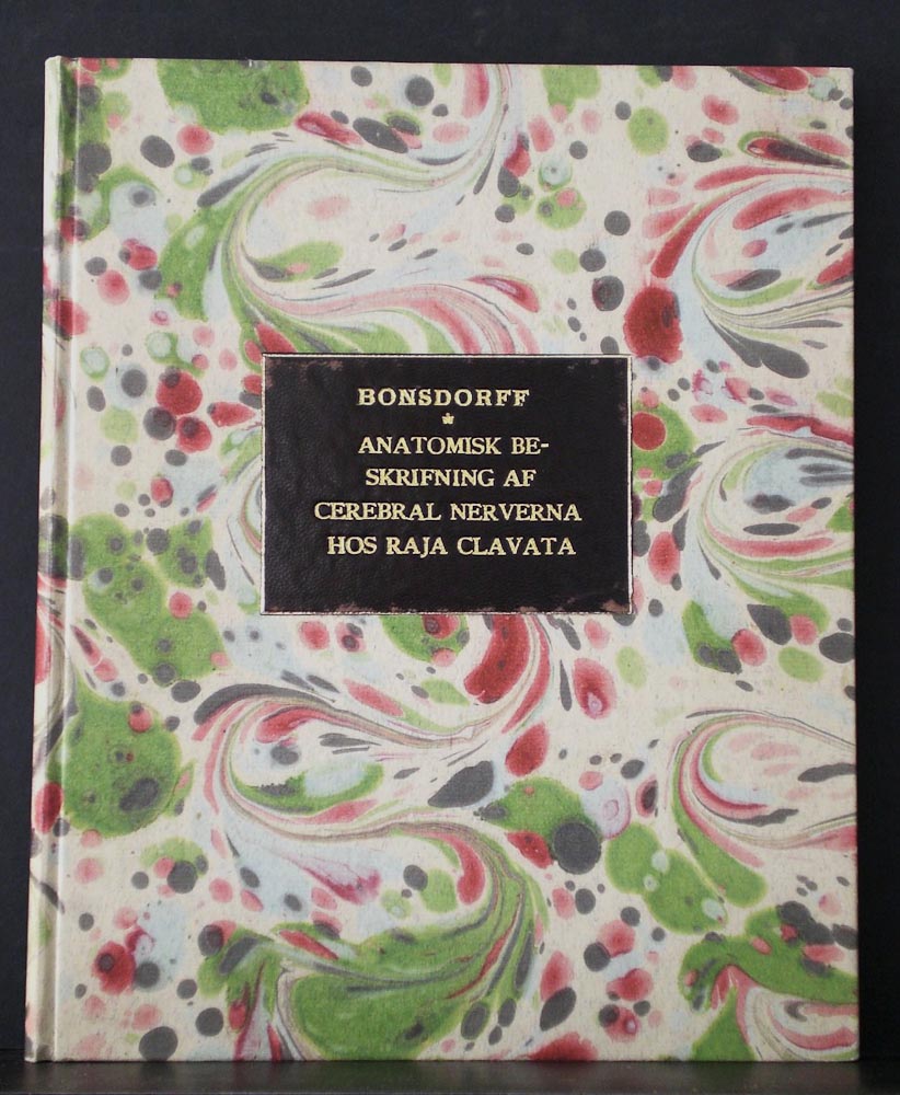 E. J. BONSDORFF Jemförande beskrifning av cerebral nerverna hos Raja Clavata