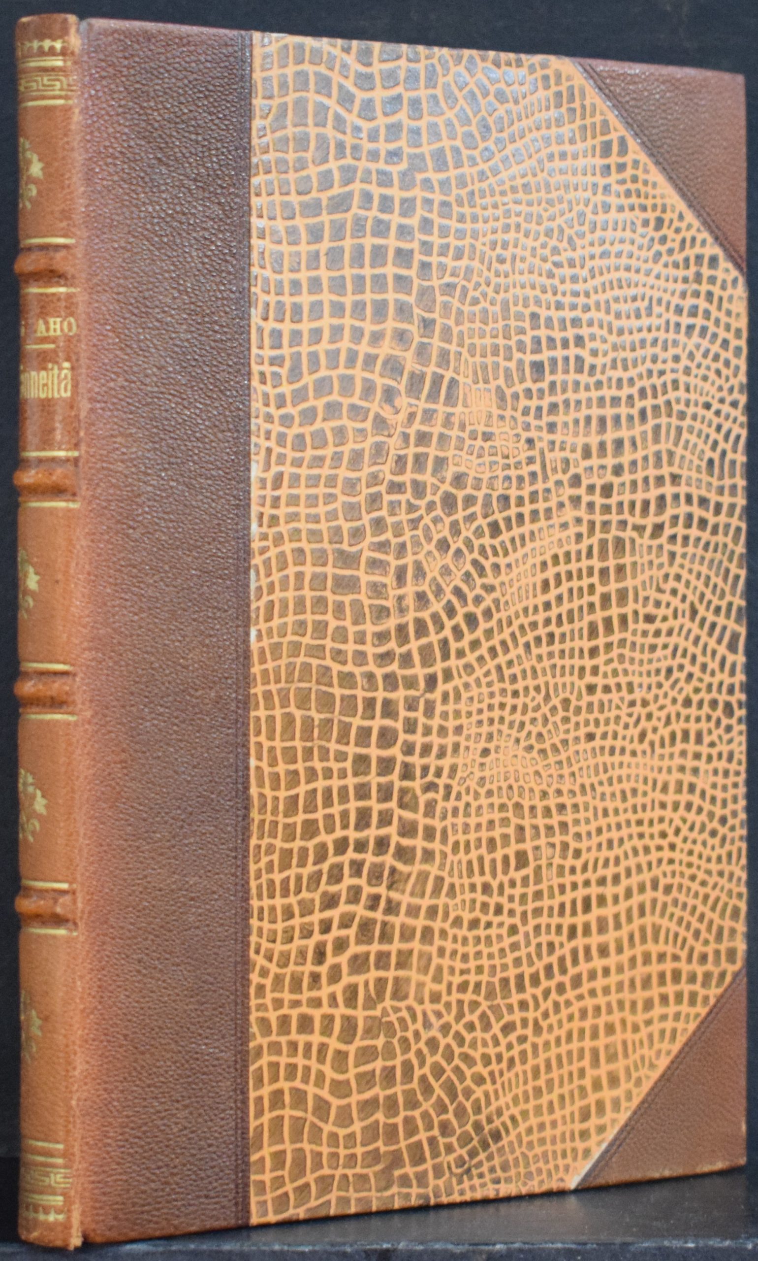 Juhani Aho Heränneitä (1894)