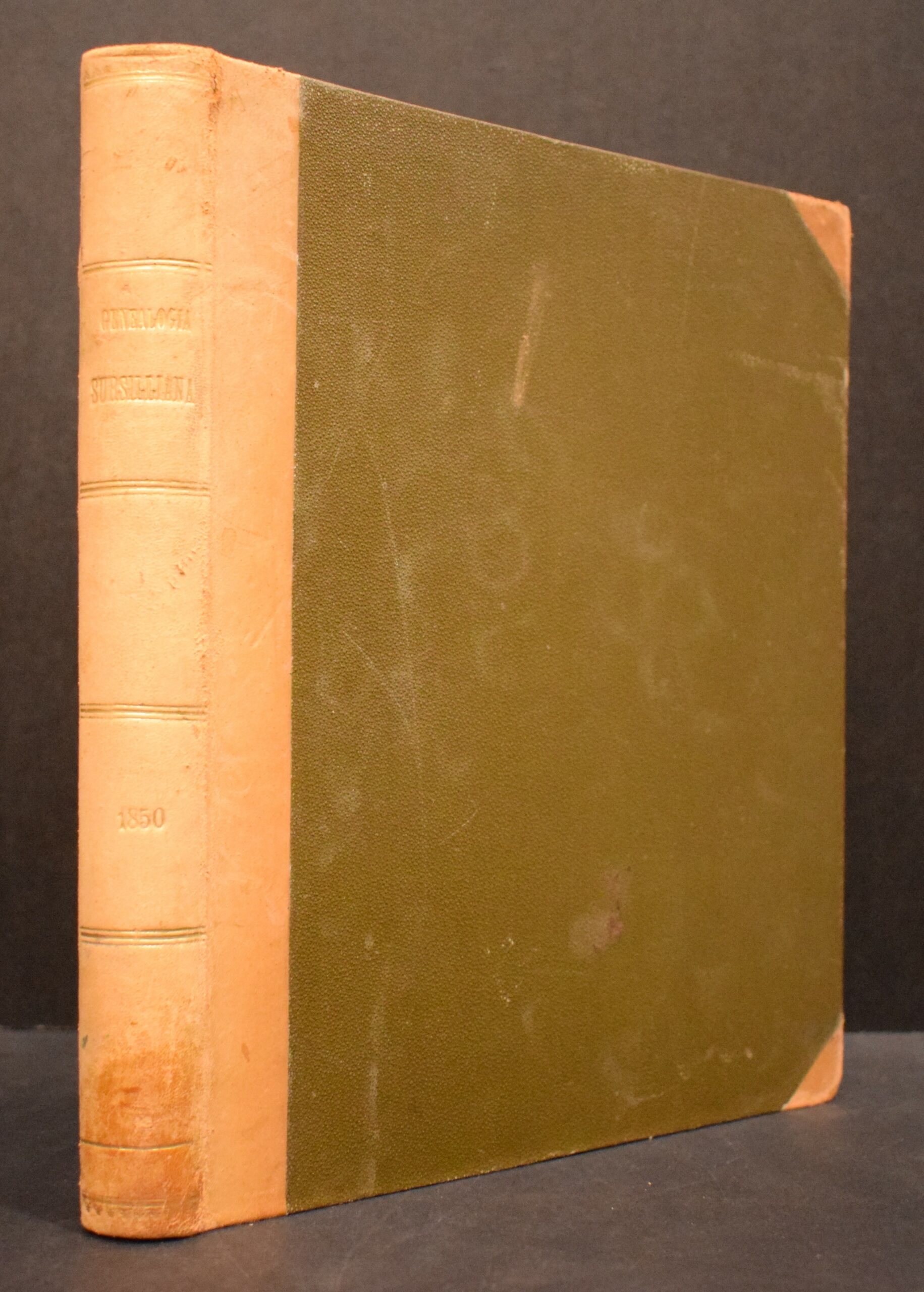 Genealogia Sursilliana (1850)