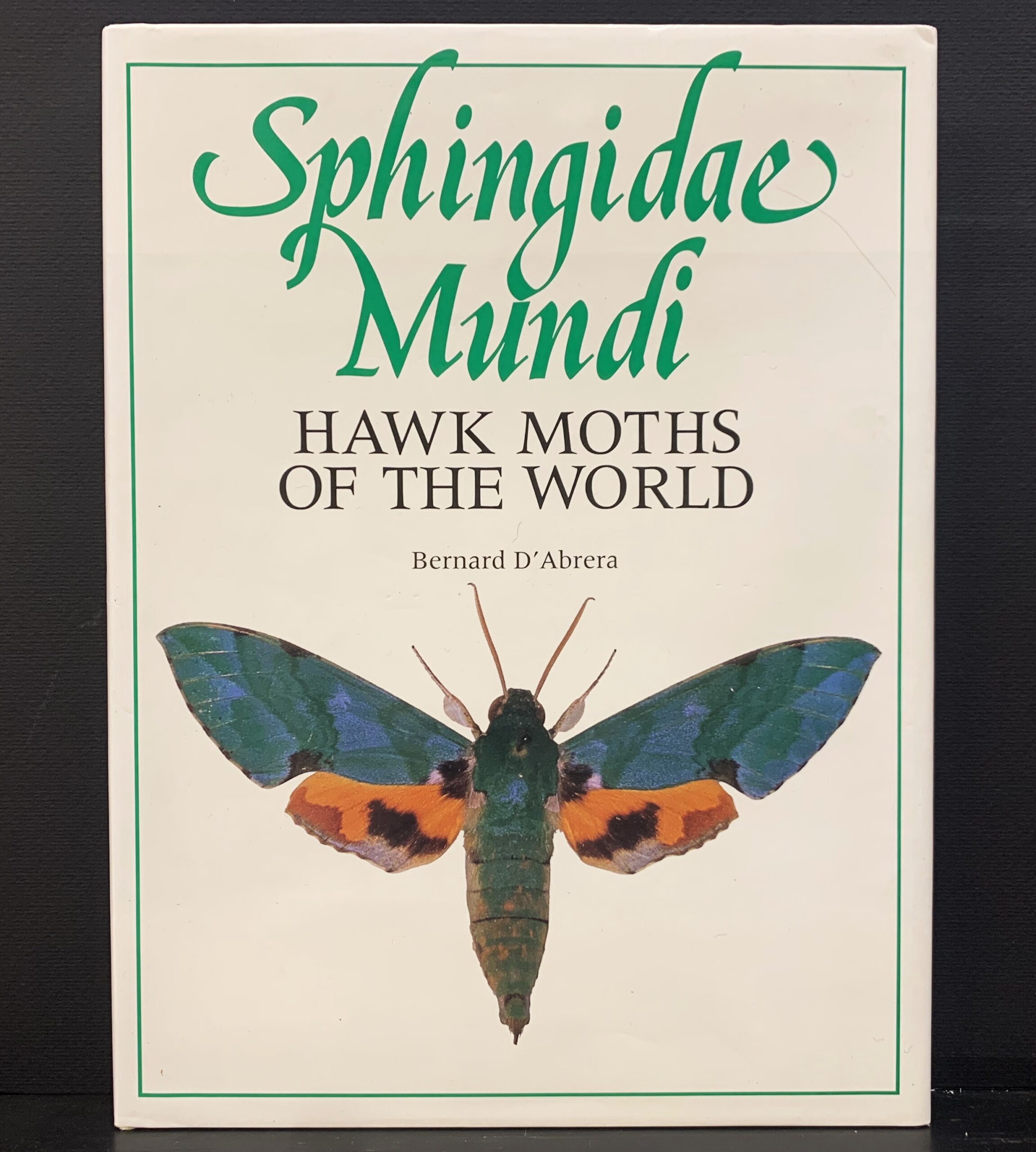 Sphingidae Mundi: Hawk Moths of the World